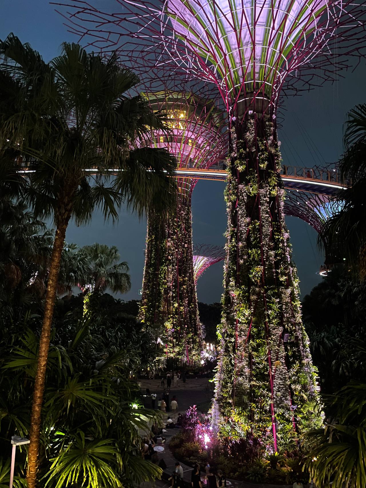 Iluminowane Supertrees w Gardens by the Bay w Singapurze nocą